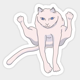 Acrobatically jumping white athlete cat Sticker